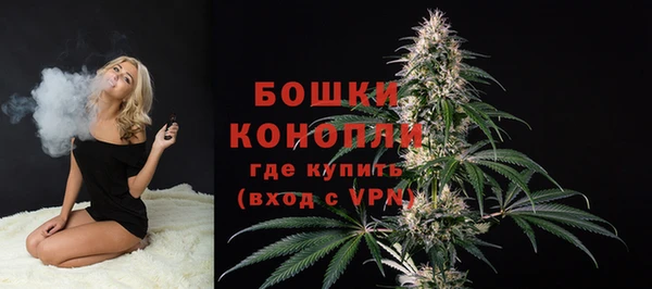 стафф Костерёво