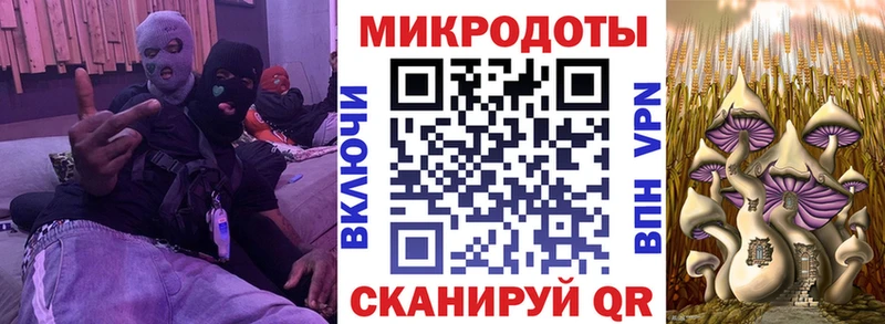где можно купить   Коряжма  Галлюциногенные грибы мухоморы 
